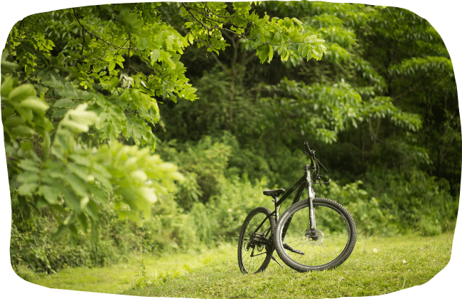 Mountain Bike Villa Senesi