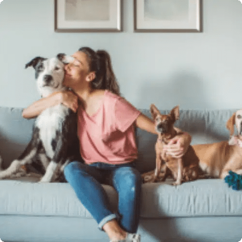 Pets
